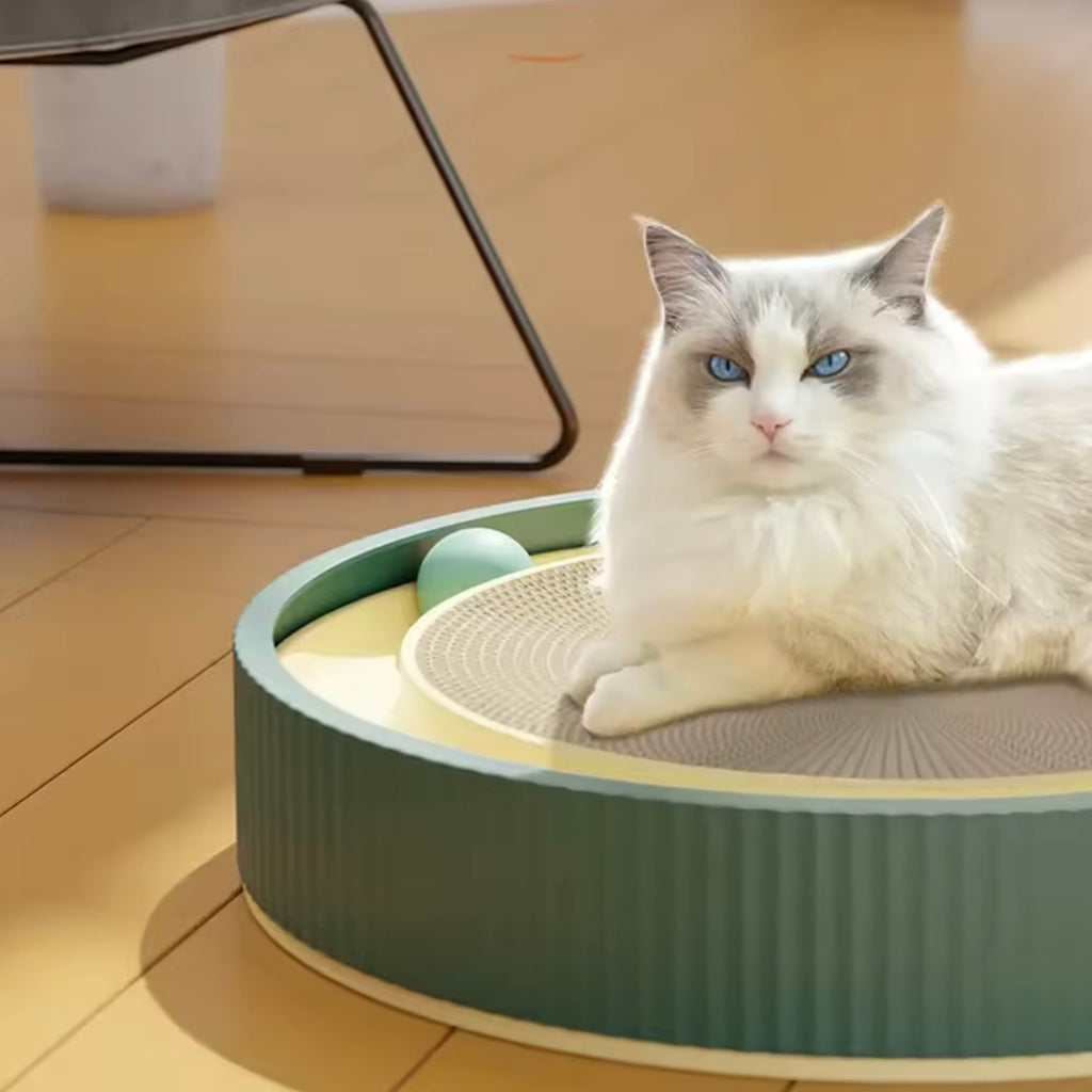 Griffoir Rond pour Chat avec Balle Interactive