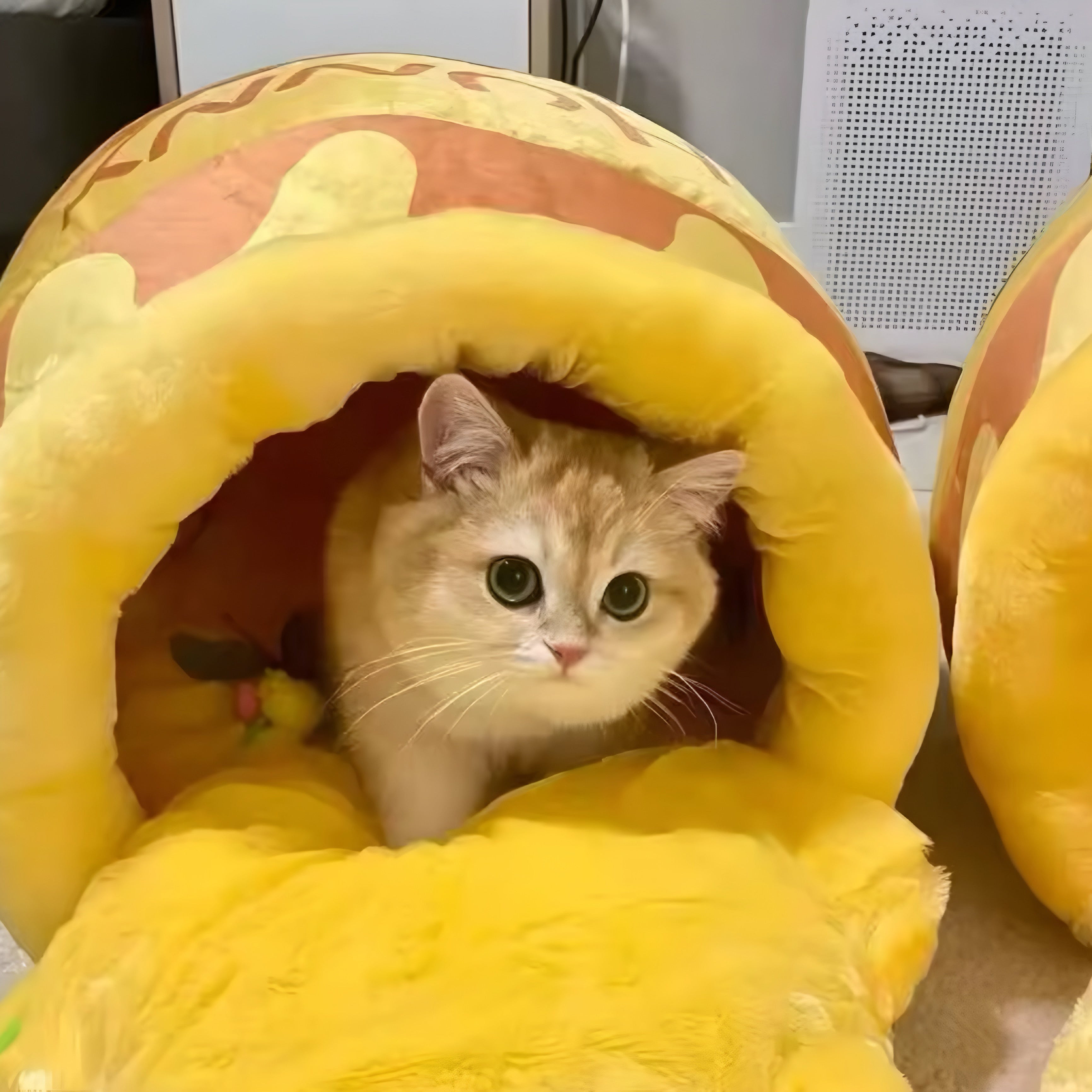 Lit pour Chat “Pot de Miel”